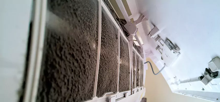 Preventive Air Duct Bacteria Removal in Greenfield