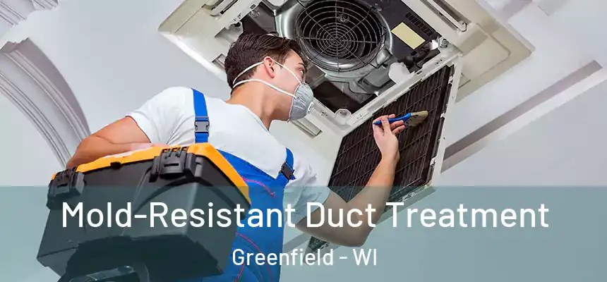  Mold-Resistant Duct Treatment Greenfield - WI