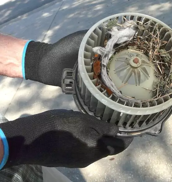 About Air Duct Mice Removal in Greenfield, WI