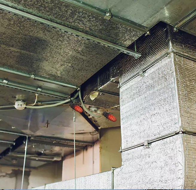 Why Homeowners & Businesses Trust Us in Greenfield, WI?